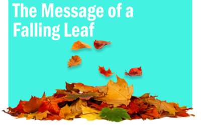The Message of a Falling Leaf